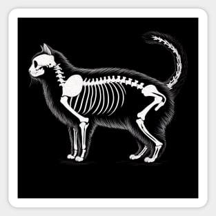Anatomy of a Cat: Skeleton in Monochrome Sticker
